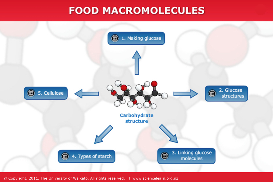 Food macromolecules